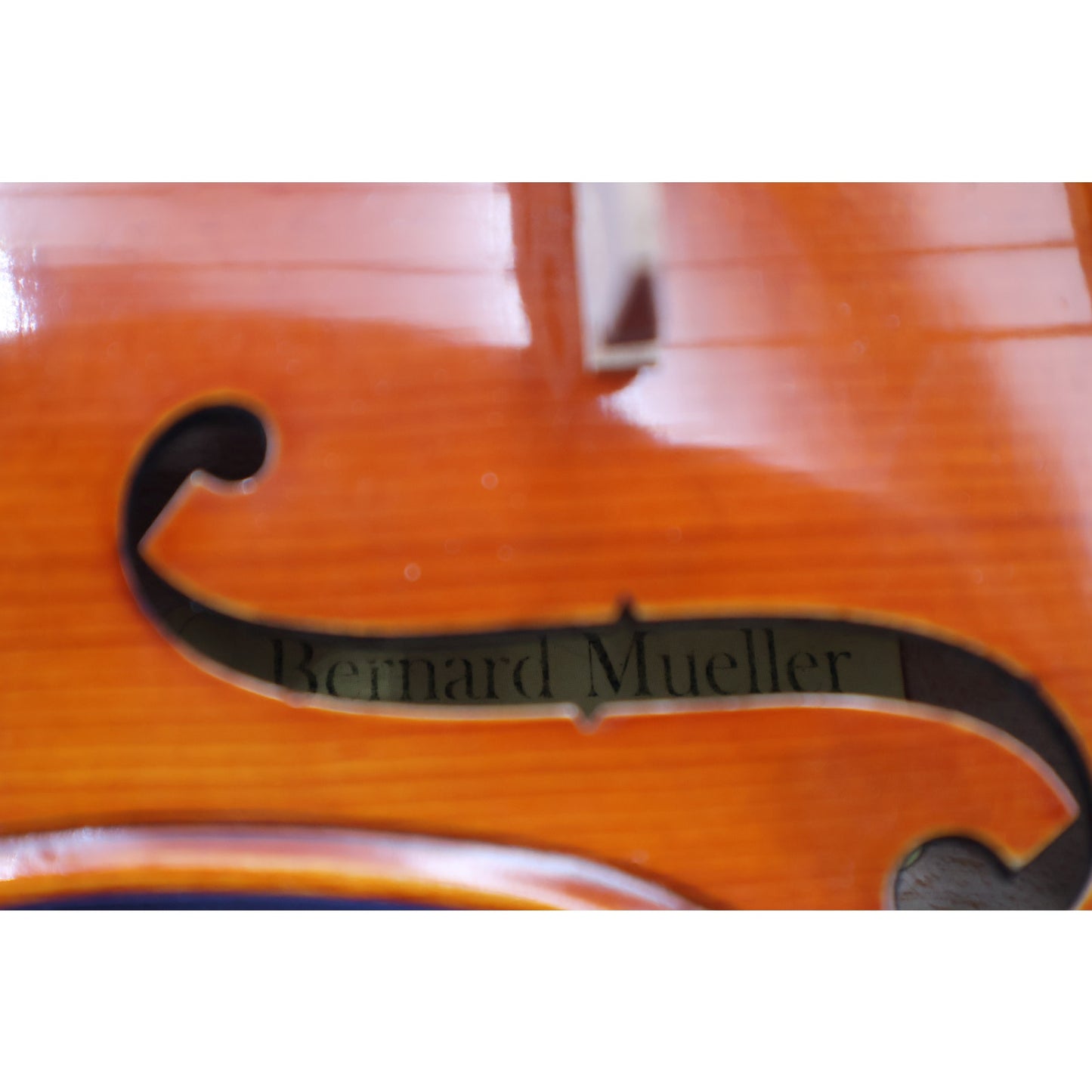 Bernard Mueller Eastman Strings VL155 4/4 Violin