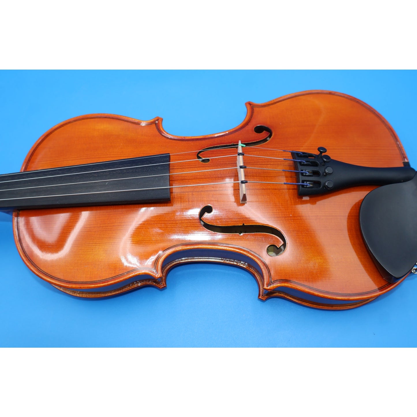 Bernard Mueller Eastman Strings VL155 4/4 Violin