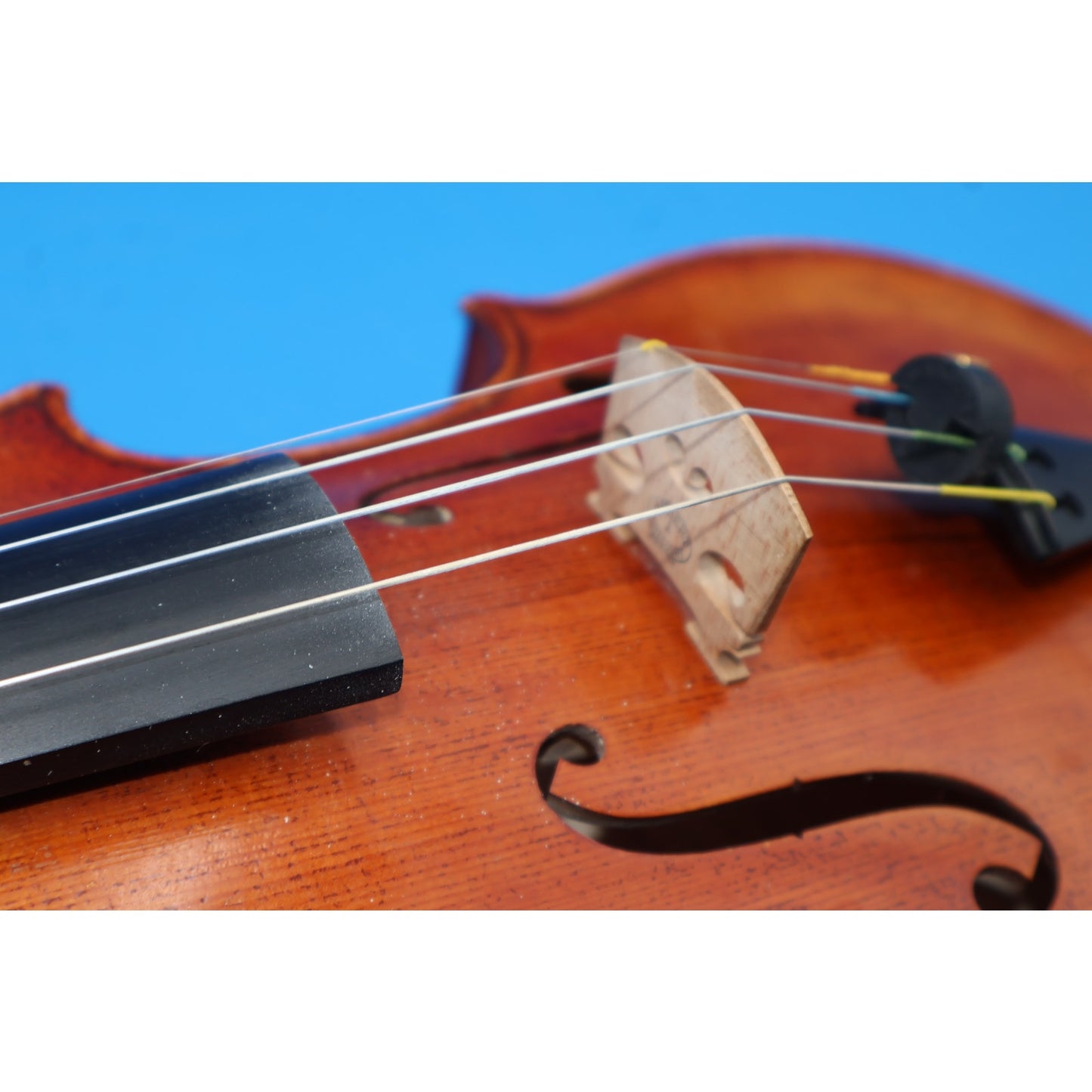 Charles W. Liu Stephano Laricci 4/4 Violin, Anno 2016